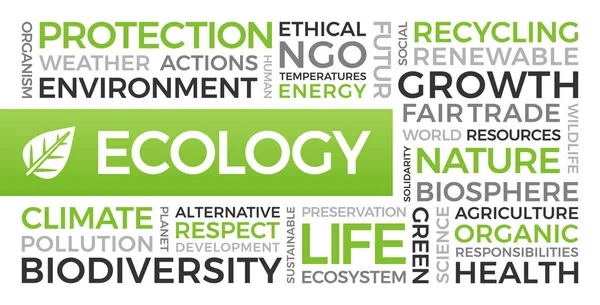 Ecologia Meio Ambiente Desenvolvimento Sustentável Word Cloud —  Vetores de Stock