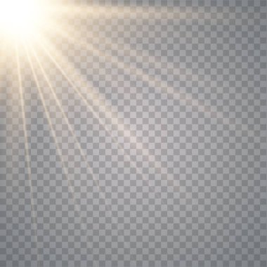 Parlayan güneş ışığı şeffaf bir arka plan.