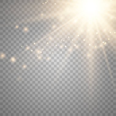 Vektör şeffaf altın güneş ışığı 