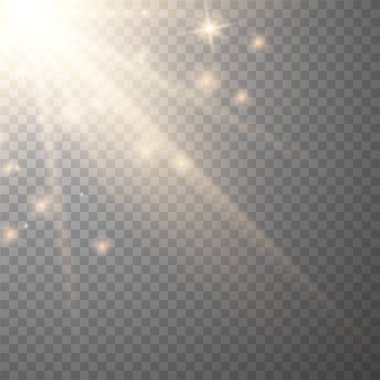 Vektör şeffaf altın güneş ışığı 