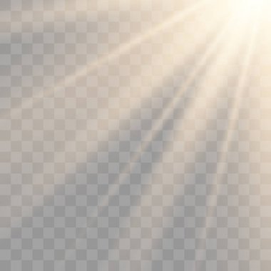 Vektör şeffaf güneş ışığı özel