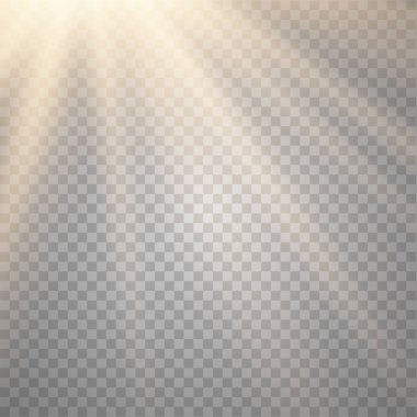 Vektör şeffaf güneş ışığı özel