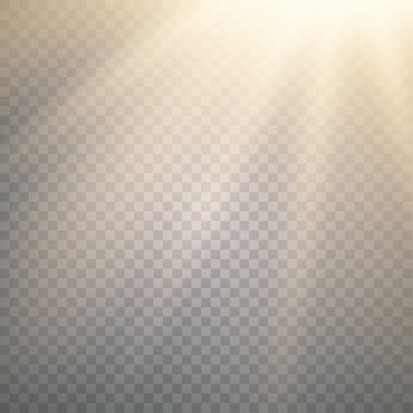 Vektör şeffaf güneş ışığı özel