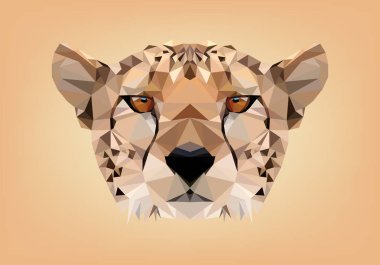 Cheetah düşük Poli