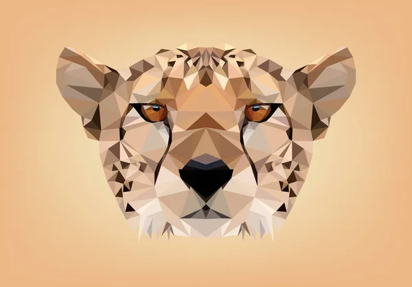 Cheetah low poly — Stock Vector