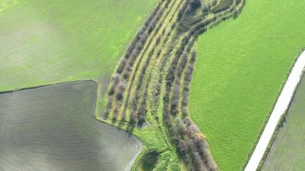 Luchtfoto Van Siciliaanse Heuvels — Stockvideo