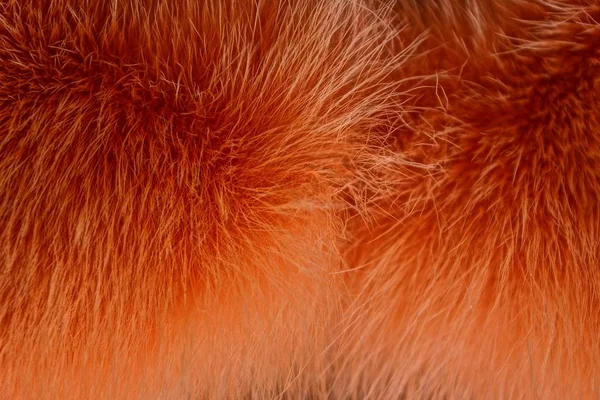 Textura Vermelha Pele Longa Roupa — Fotografia de Stock