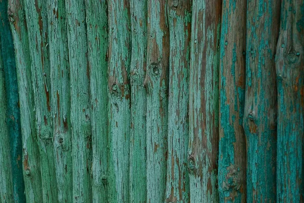 Textura Madera Verde Troncos Pequeños Una Valla —  Fotos de Stock
