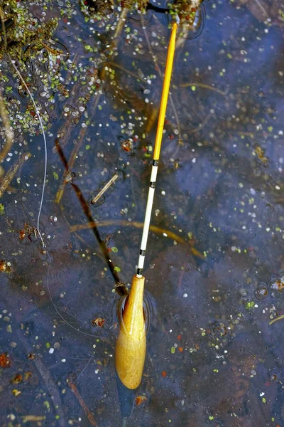 Flutuador Pesca Uma Linha Água — Fotografia de Stock