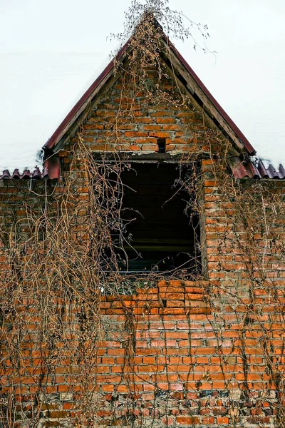 Ruiny Cihla Hnědá Dům Zarostlá Vegetací Prázdné Okno Sněhu — Stock fotografie