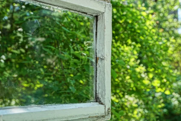 Otwórz Okno Drewniane Szkłem Zielonych Liści Ulicy — Zdjęcie stockowe