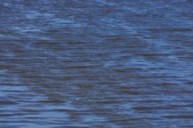 gri dalgalar üzerinde havzanın su doku