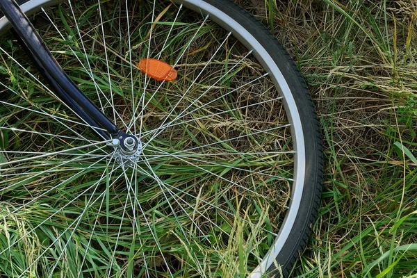 在公园草地上的一个大自行车轮与边缘和针织针的一部分 — 图库照片
