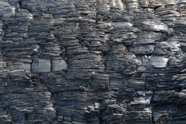 siyah Kömürleşmiş odun parçasının bir ahşap dokusu