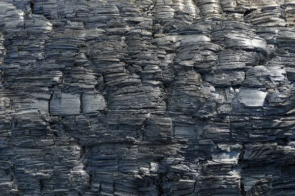 siyah Kömürleşmiş odun parçasının bir ahşap dokusu