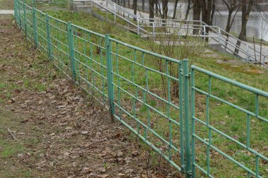 dekoratif yeşil demir parçası çit parkta çim