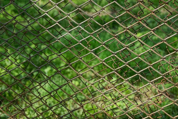 Struttura Ferro Una Maglia Ruggine Grigia Una Recinzione Uno Sfondo — Foto Stock