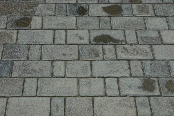 Серый Камень Текстура Грязных Влажных Плит — стоковое фото