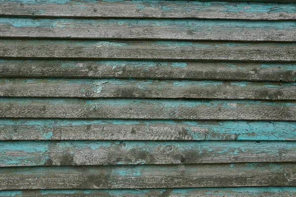 Textura Verde Grisácea Delgadas Tablas Madera Pared —  Fotos de Stock