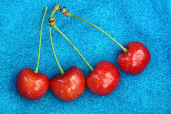 Bir Kiraz Mavi Yün Kumaş Üzerinde Dört Kırmızı Meyveler — Stok fotoğraf