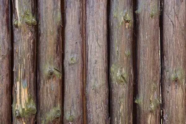フェンス内のログの茶色の木目テクスチャ — ストック写真