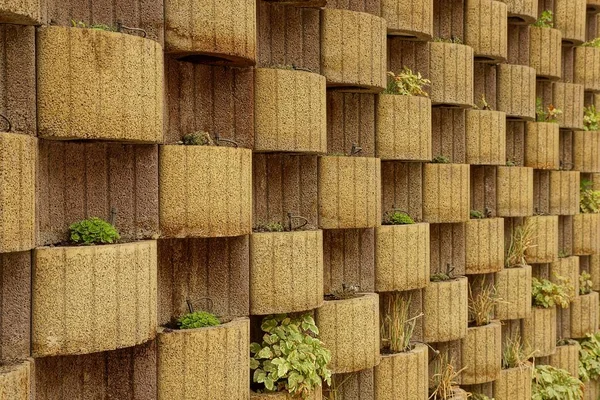 Braune Betonwand Eines Zauns Mit Vasen Und Zierpflanzen — Stockfoto