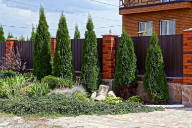 yeşil iğne yapraklı süs ağaçlar ve bitki örtüsü sokakta kahverengi çit boyunca