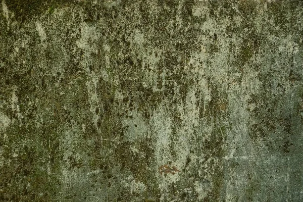 Сіра Зелена Кам Яна Текстура Бетонної Брудної Стіни Моху — стокове фото