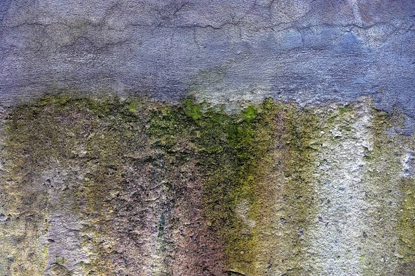 Szare Zielone Tło Fragmentu Ściany Betonowej — Zdjęcie stockowe
