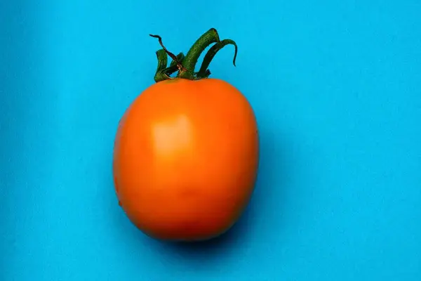 Une Grande Tomate Jaune Fraîche Repose Sur Une Table Bleue — Photo