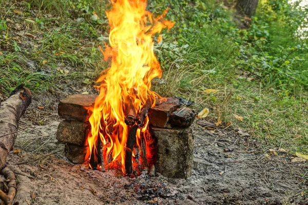 bright fire in the stones on the ground in the grass