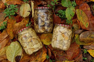 three glass jars with canned mushrooms on brown dry leaves clipart