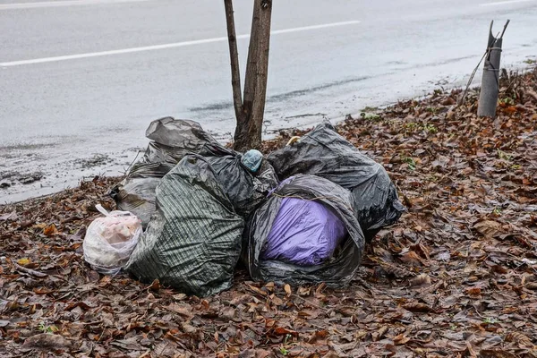 a pile of plastic bags with rubbish in the fallen leaves near the road