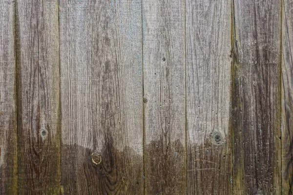 Graue Holzstruktur Des Alten Und Nassen Bretterzaunes — Stockfoto