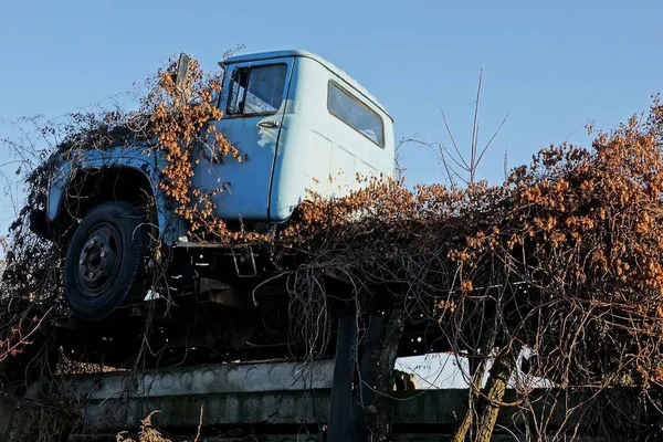 Стара Вантажівка Виросла Сухою Рослинністю Фоні Неба — стокове фото