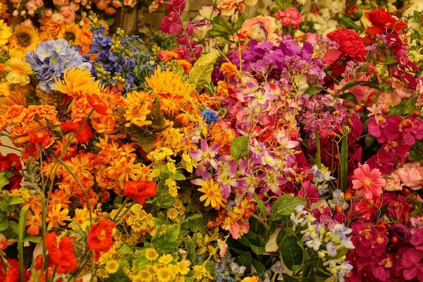 Texture Végétative Naturelle Brillante Petites Fleurs Colorées — Photo