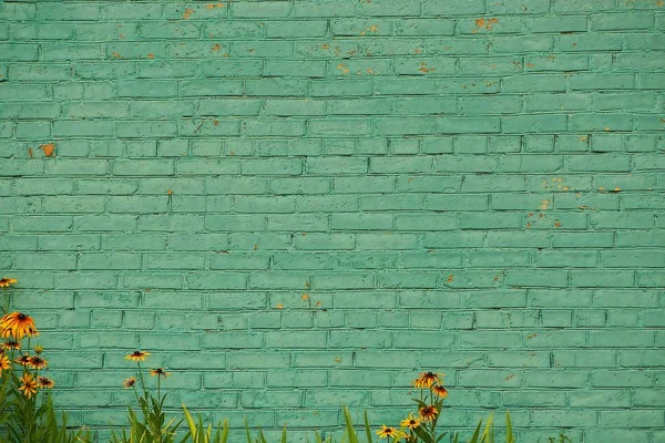Old green brick wall and decorative flowers