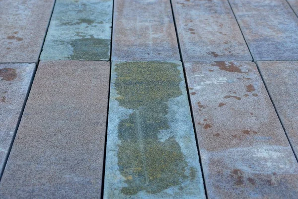 Textura Piedra Marrón Gris Losa Pavimentación Húmeda —  Fotos de Stock