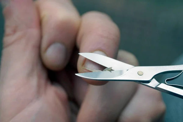 Small Iron Scissors Cut Fingernail Finger — Stock Photo, Image