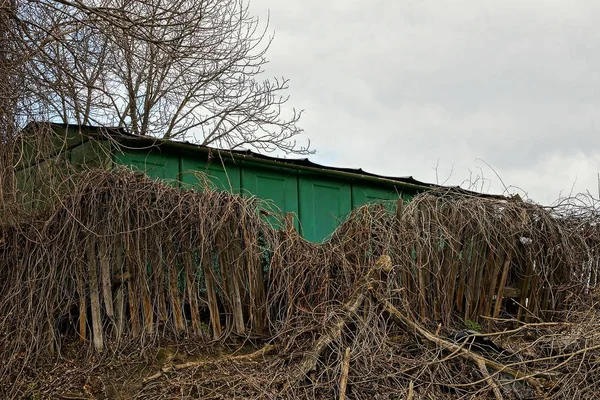 Old Broken Wooden Fence Overgrown Dry Vegetation Green Wall Sky — Stock Photo, Image