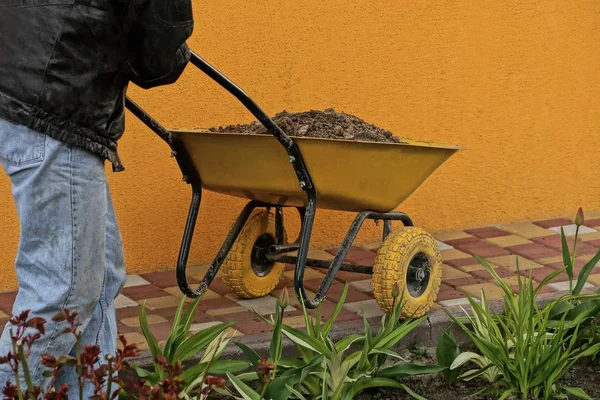 Travailleur Conduisant Une Brouette Jaune Avec Sable Sur Trottoir Près — Photo