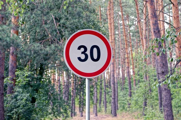 Omezení Rychlosti Silnice Znamení Cesty Poblíž Borového Lesa — Stock fotografie