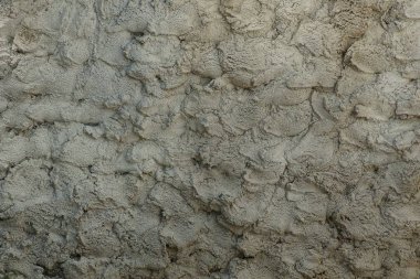 taş yeşil doku düzensiz beton duvar gri