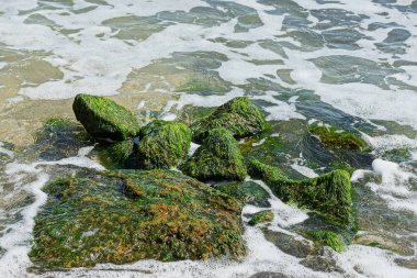 Deniz suyu ve beyaz köpük dalgalar büyük yeşil taş