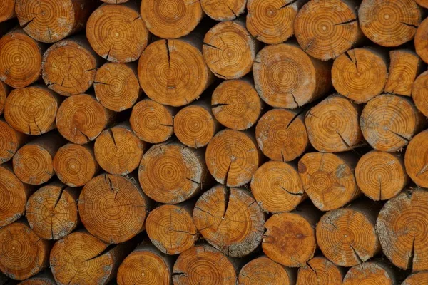 Braune Holzstruktur Aus Einem Schnitt Aus Rundstämmen — Stockfoto
