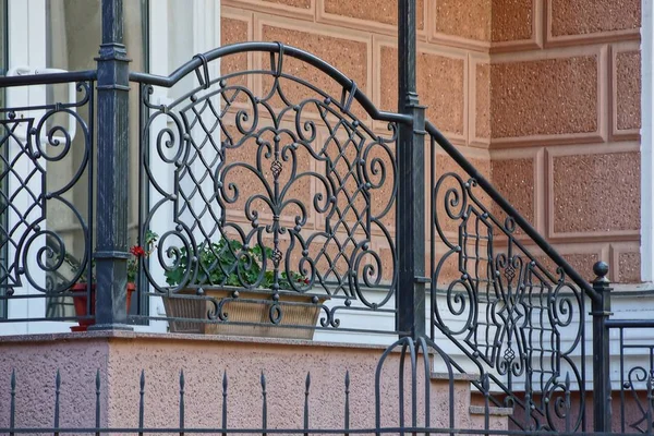 part of the porch and the threshold with steps with an iron fence of twigs and wrought pattern