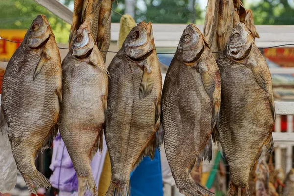 Deretan Ikan Besar Kering Tergantung Kawat — Stok Foto