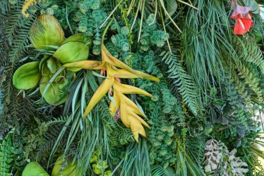 renkli tropik çiçekler ve bitkiler doğal bitkisel doku