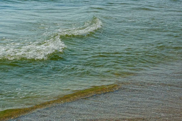 Green Sea Waves Wet Sand Beach — Stock Photo, Image