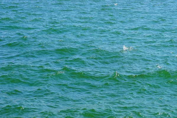 Doku Denizin Mavi Yeşil Dalgaların — Stok fotoğraf